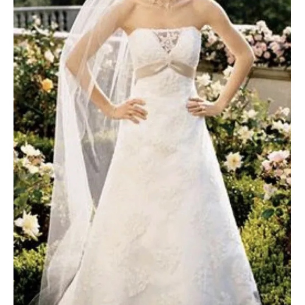 David's Bridal ivory and champagne swiss dot lace wedding dress & veil size‎ 12